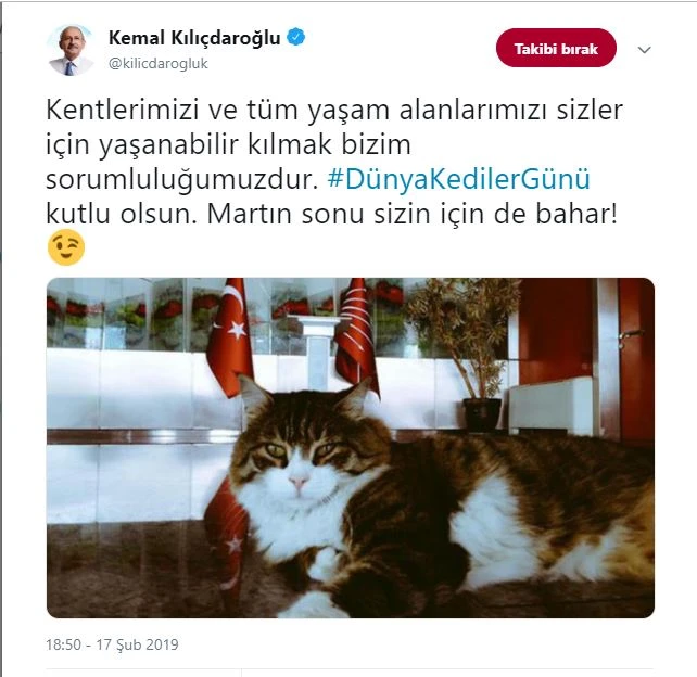Kılıçdaroğlu'ndan Şero'lu "Kediler Günü" paylaşımı